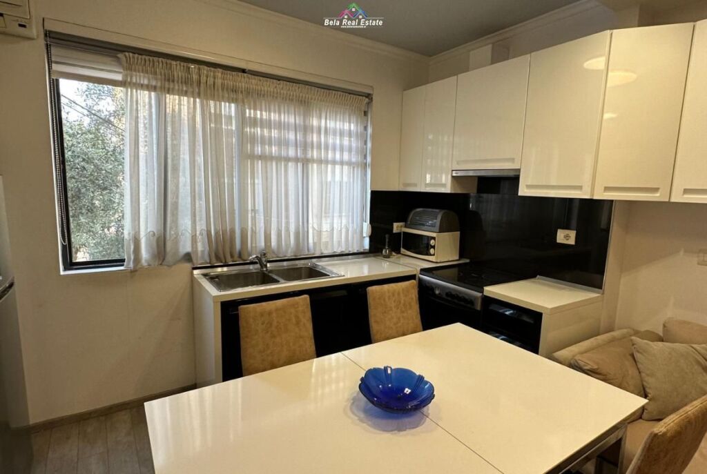 Apartment For Rent 1+1 Near Brryli (ID B2101549) Tirana