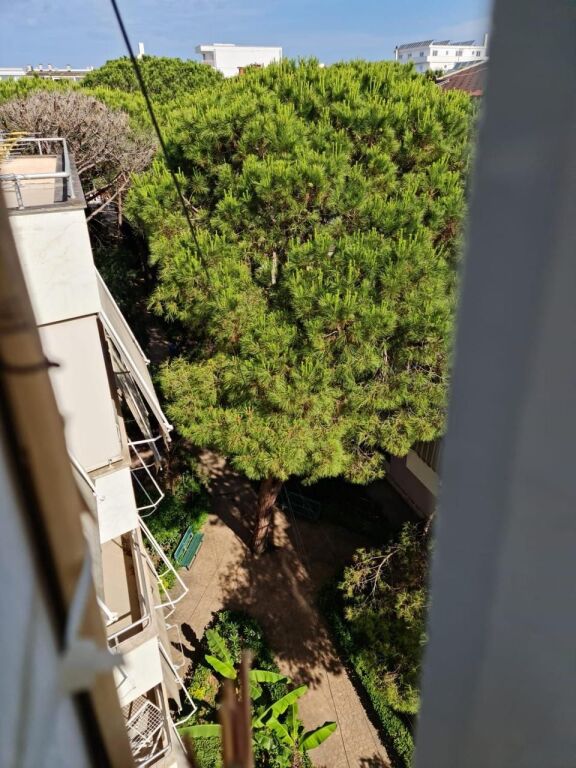 Shitet Penthouse Ne Golem