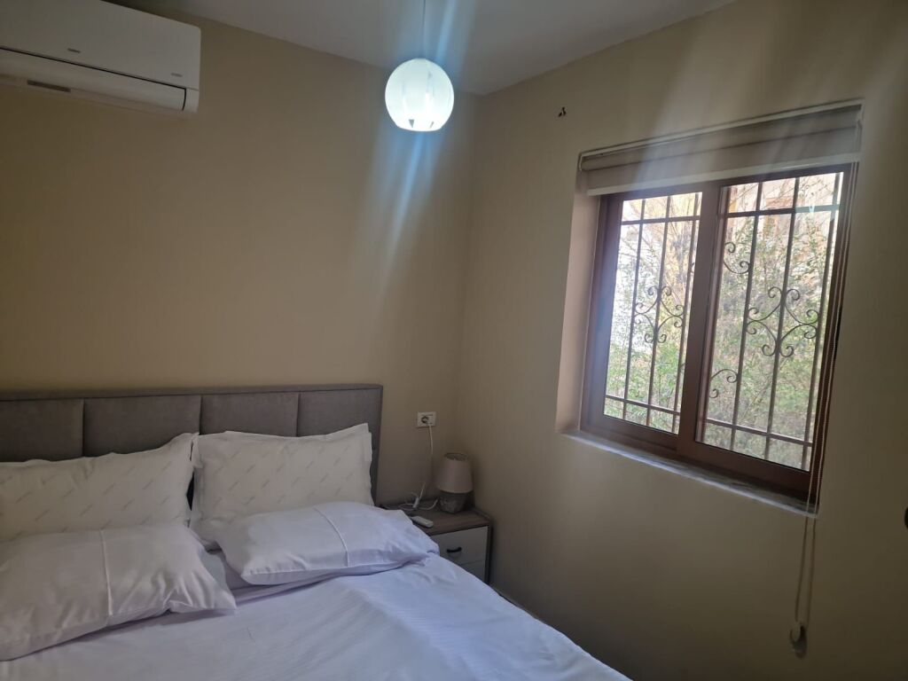 Apartment 1+1 for rent in the center near Red School