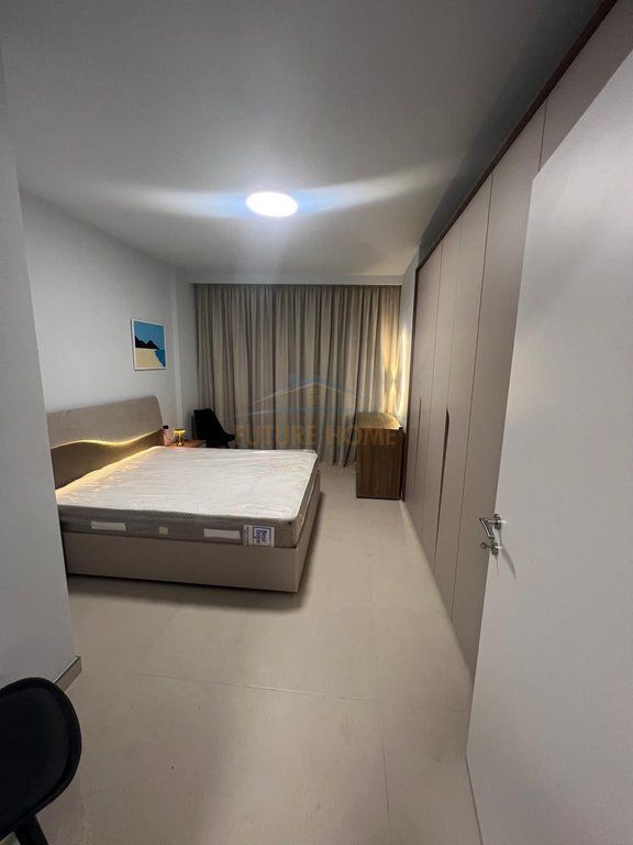 Qera, Apartament 1+1+Post Parkimi, Ish Dogana, Tiranë.