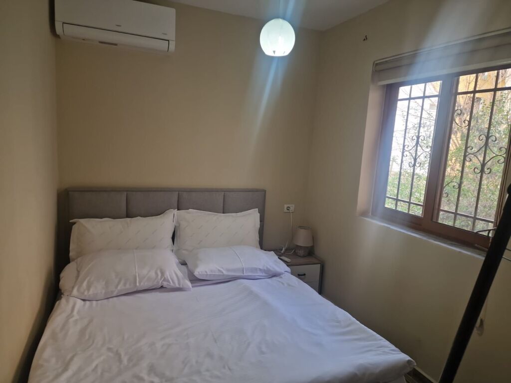 Apartment 1+1 for rent in the center near Red School