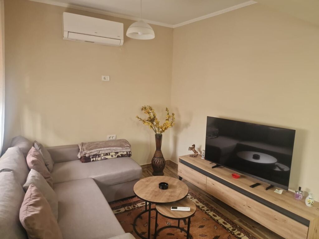 Apartment 1+1 for rent in the center near Red School