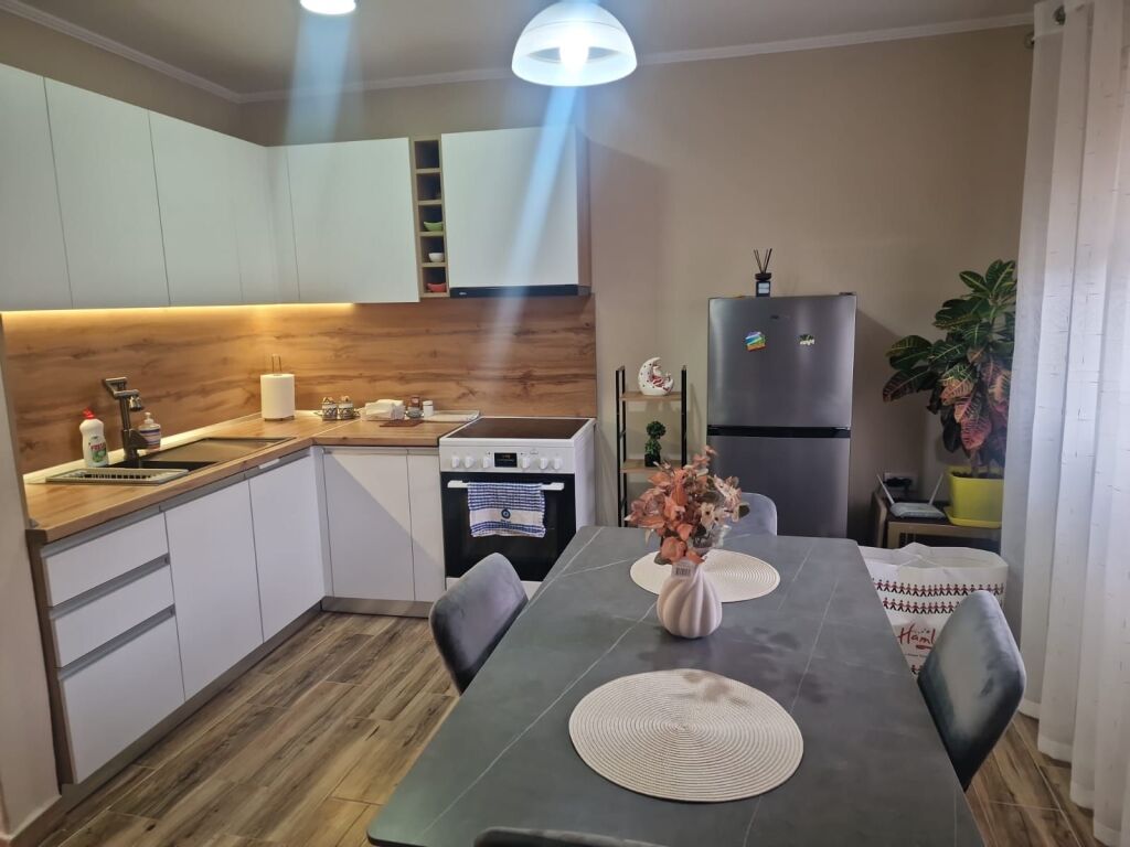 Apartment 1+1 for rent in the center near Red School