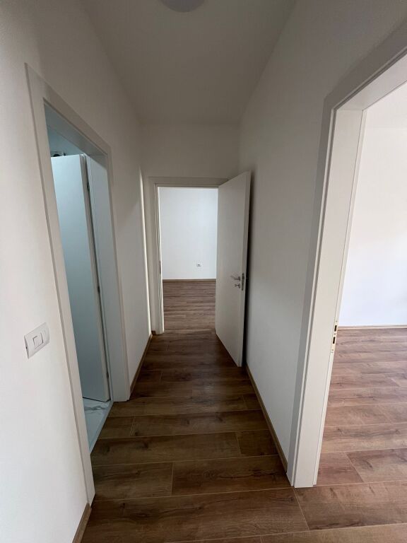 Apartament 1+1, Zogu i Zi!