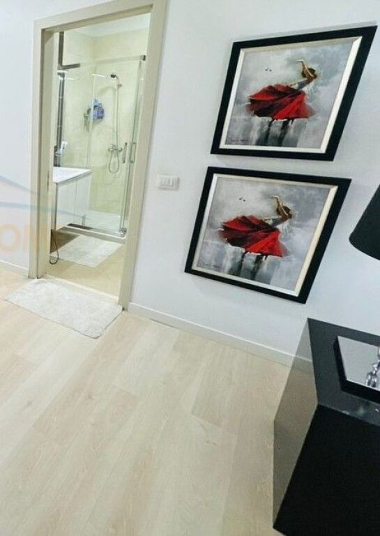 Shitet, Apartament 1+1, Rruga Albanopoli