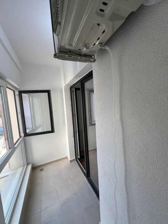 Apartament 1+1, Zogu i Zi!