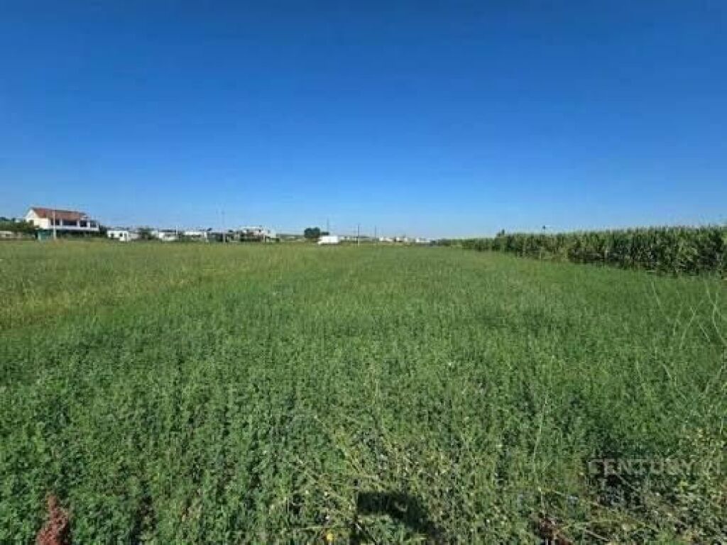 Shitet, Tokë, Vorë, Tiranë.