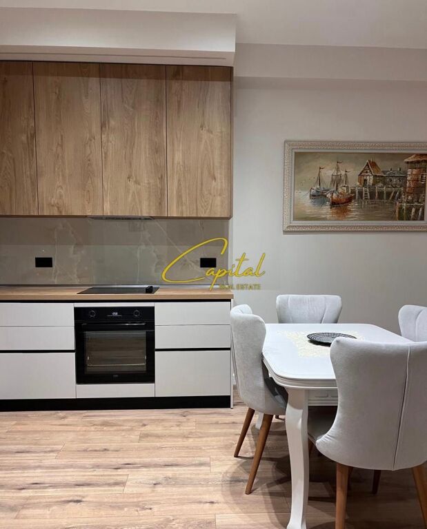 APARTAMENT ME QIRA 1+1 RRUGA MINE PEZA 600 EURO