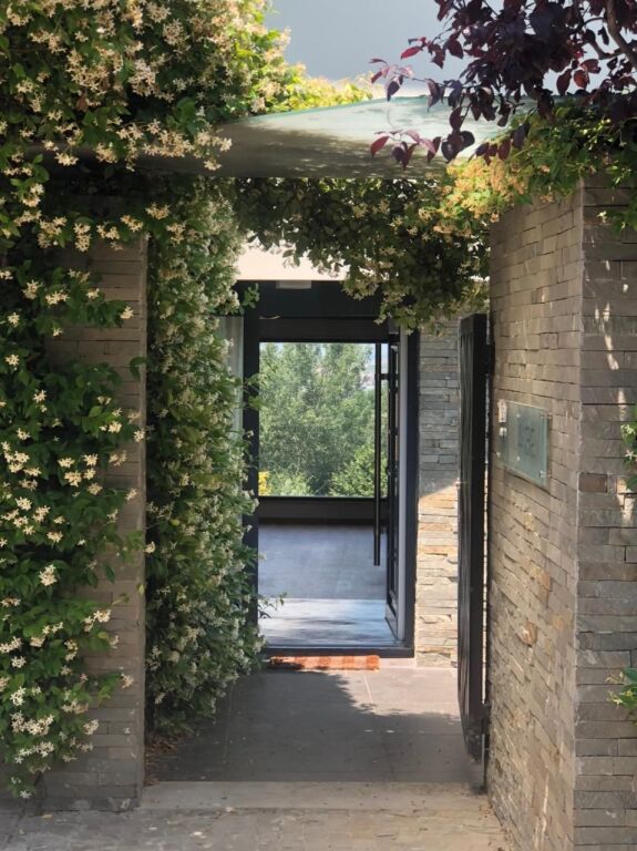 VILE LUKSOZE PER SHITJE TEK ZONA TEG