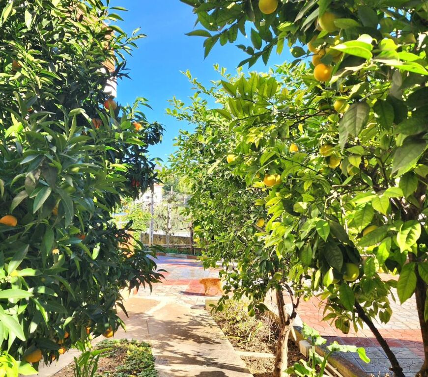 📌Jepet me Qira : Shtëpi Private 70m2 + Tokë 150m2 -📍 Mullet -TEG 400€ me 2 vende parkimi, E re ,hera parë me Qira ( 3 min nga tegu)🔥