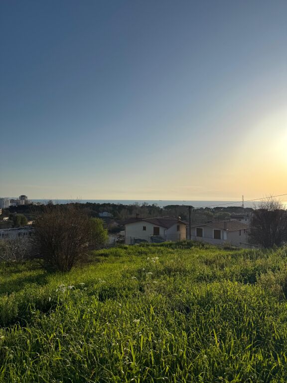 Shitet Toke Me Pamje Fantastike Deti Shkallnur