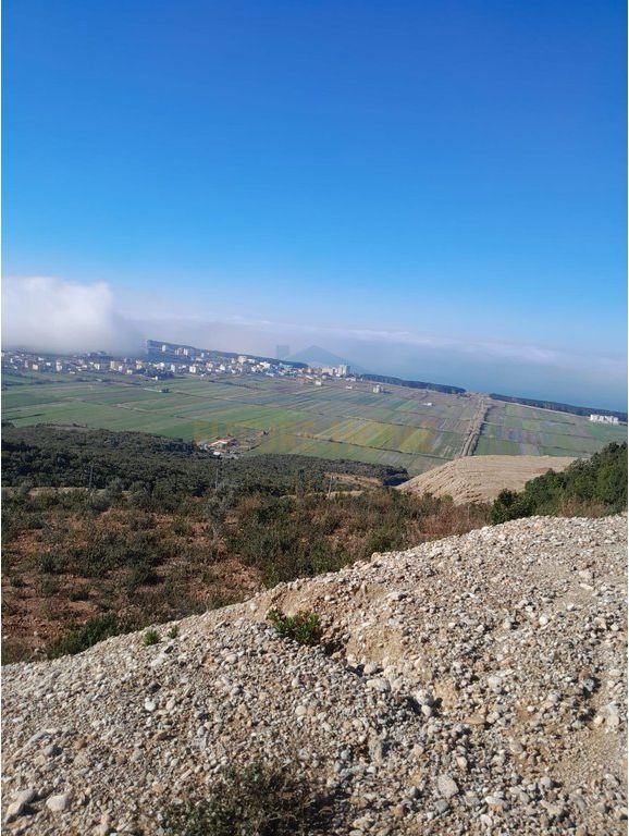 Shitet , Toke , Kavaje