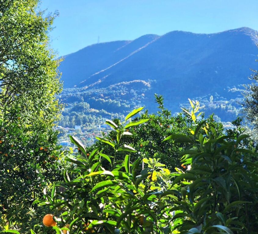 📌Jepet me Qira : Shtëpi Private 70m2 + Tokë 150m2 -📍 Mullet -TEG 400€ me 2 vende parkimi, E re ,hera parë me Qira ( 3 min nga tegu)🔥