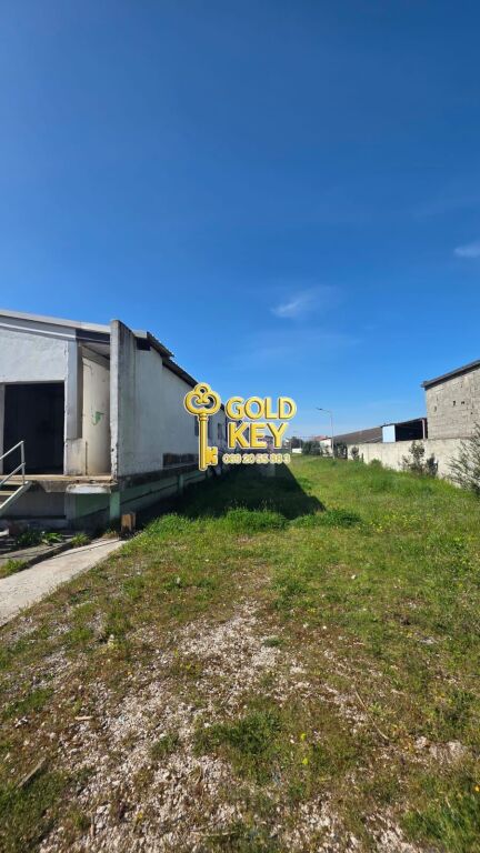 🏭 SHITEN KAPANONE 🏭