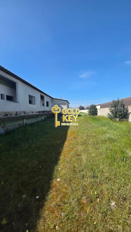 🏭 SHITEN KAPANONE 🏭