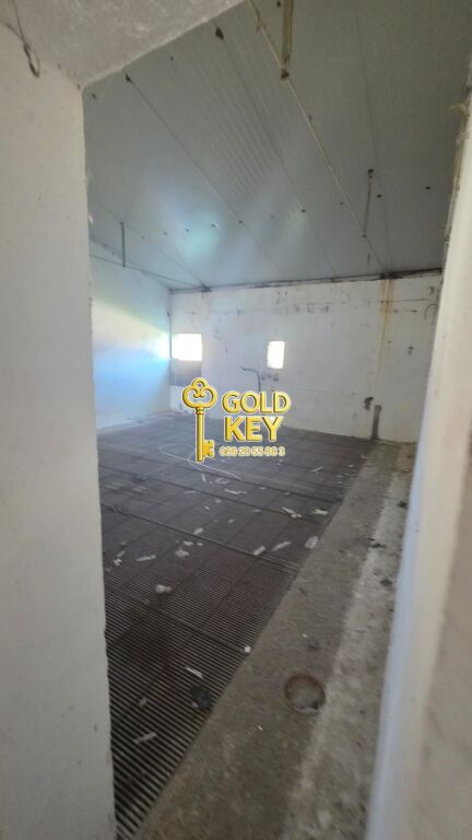 🏭 SHITEN KAPANONE 🏭