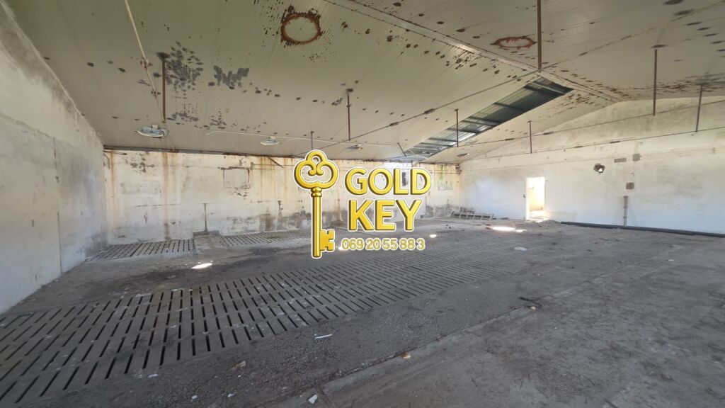 🏭 SHITEN KAPANONE 🏭