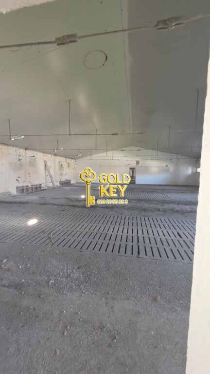 🏭 SHITEN KAPANONE 🏭