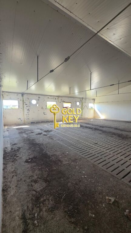 🏭 SHITEN KAPANONE 🏭