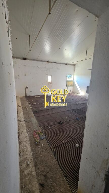 🏭 SHITEN KAPANONE 🏭