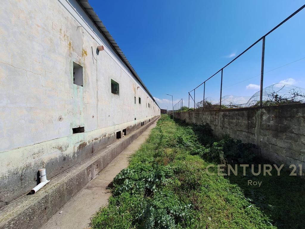 SHITET KAPANON NE XHAFZOTAJ, 1384 M2 , 3722 M2 TOKE