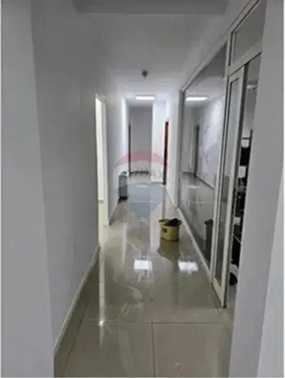 Ambient Zyrash Me Qira tek Selvia