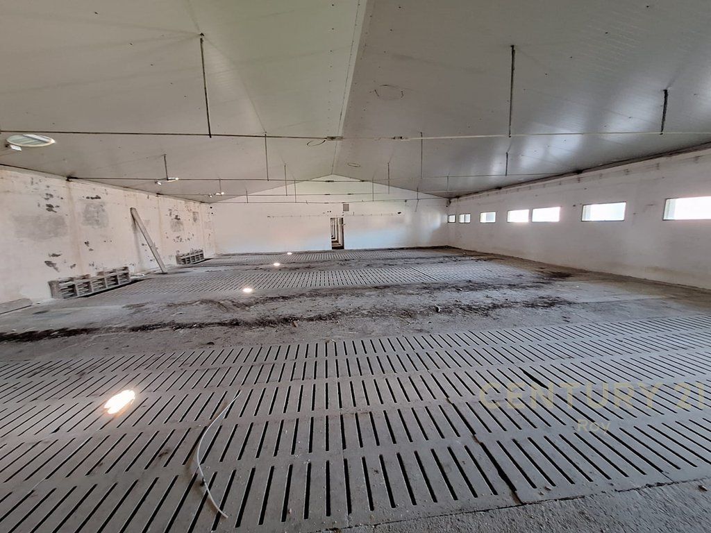 SHITET KAPANON NE XHAFZOTAJ, 1384 M2 , 3722 M2 TOKE