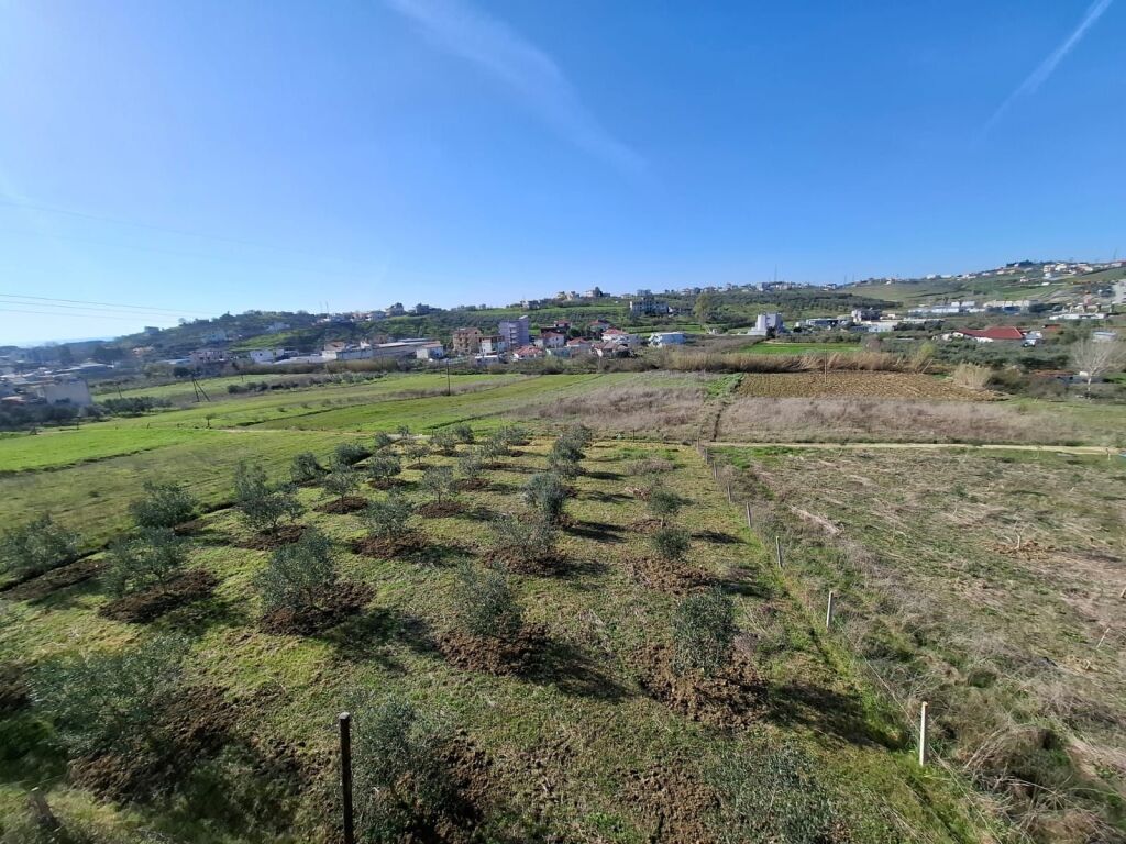 Shitet Tok Ne Shkallnur Durres