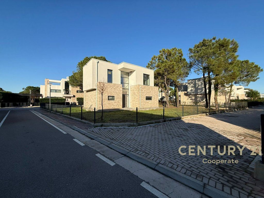 SHESIM VILE NE SAN PIETRO