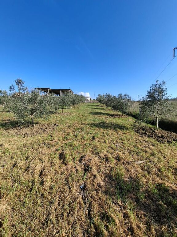 Shitet Tok Ne Shkallnur Durres