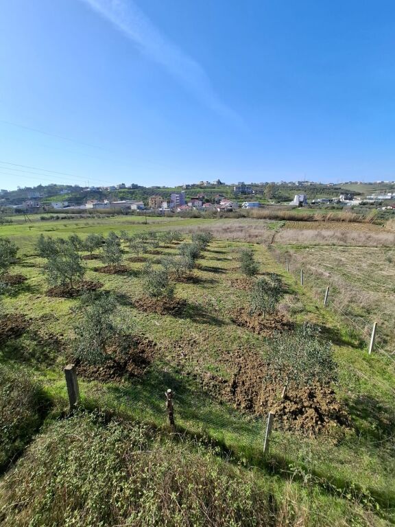 Shitet Tok Ne Shkallnur Durres