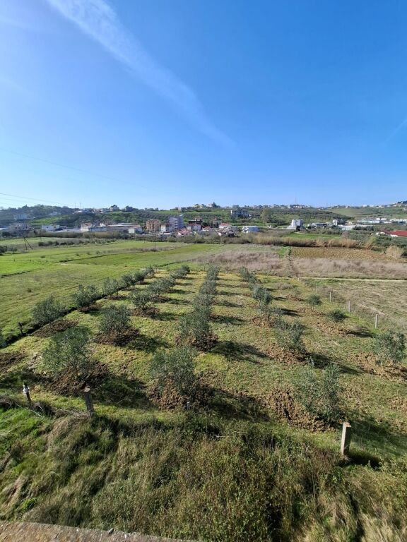 Shitet Tok Ne Shkallnur Durres