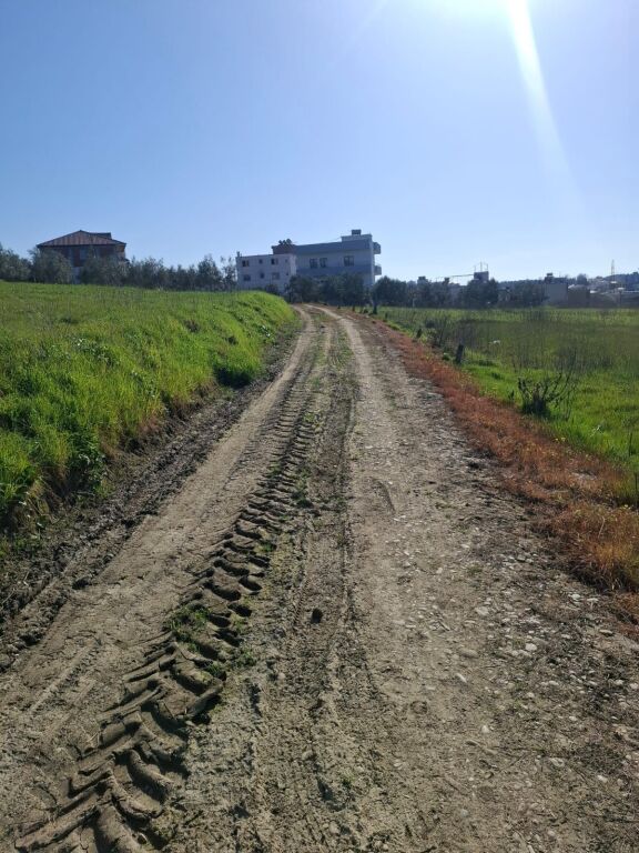 Shitet Tok Ne Shkallnur Durres