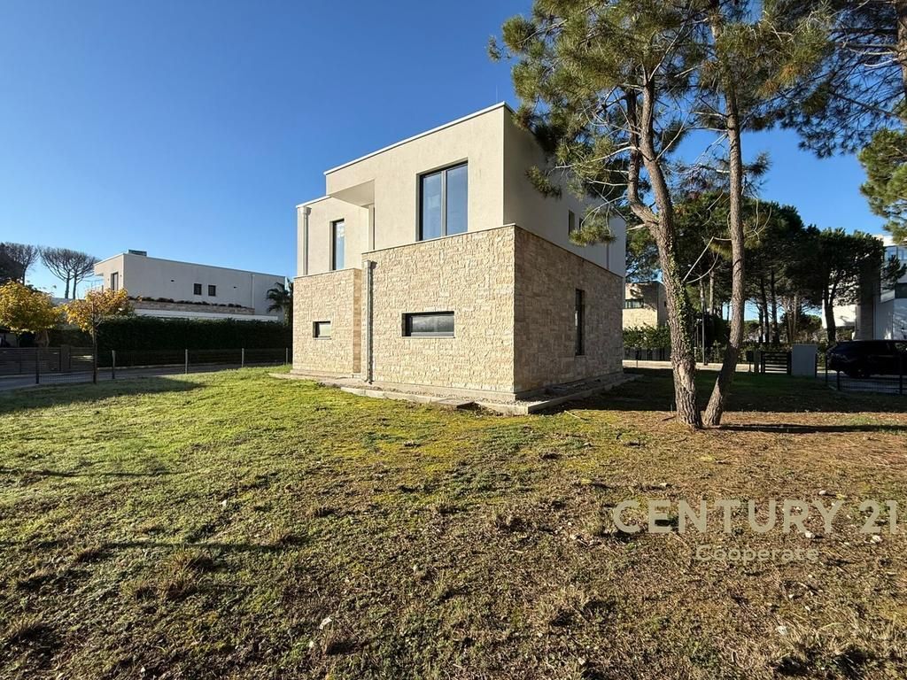 SHESIM VILE NE SAN PIETRO