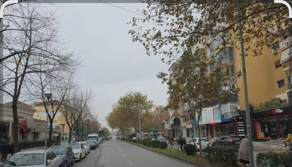 Shitet apartament 2+1 pranë Sheshit Willson