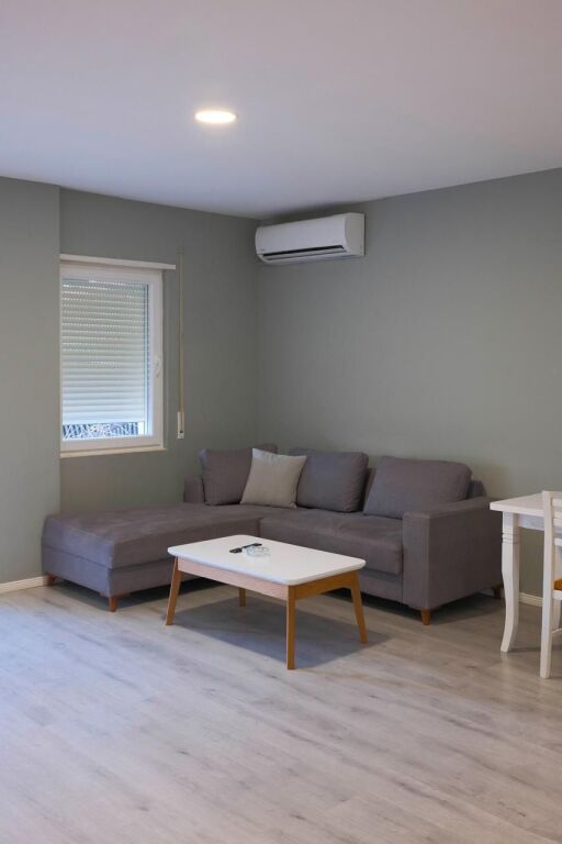 APPARTAMENTO IN AFFITTO 1+1