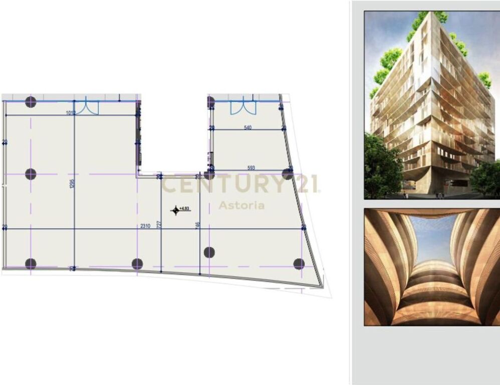 SHITET NJESI KOMERCIALE TEK GOLDEN TOWER NE MINE PEZA