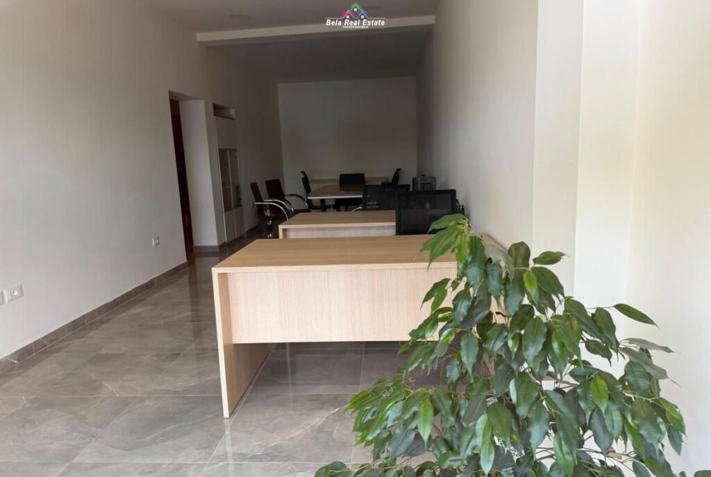 Shop For Rent Near Dinamo Stadium (ID BD21830) Tirane
