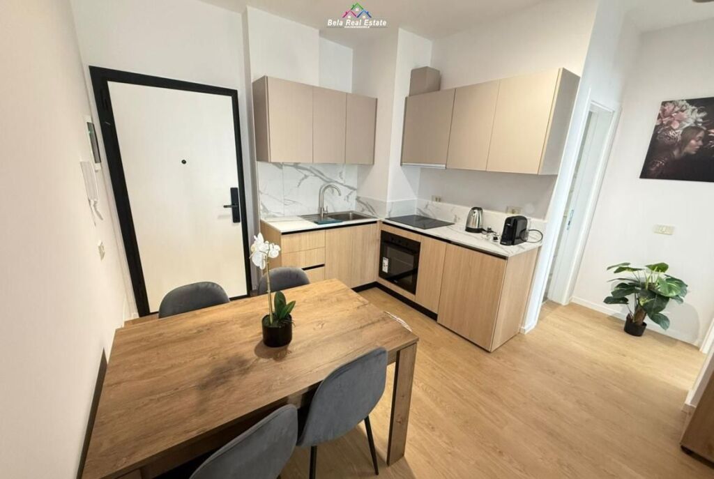 Apartment For Rent 1+1 at Mine Peza (ID B2101568) Tirana