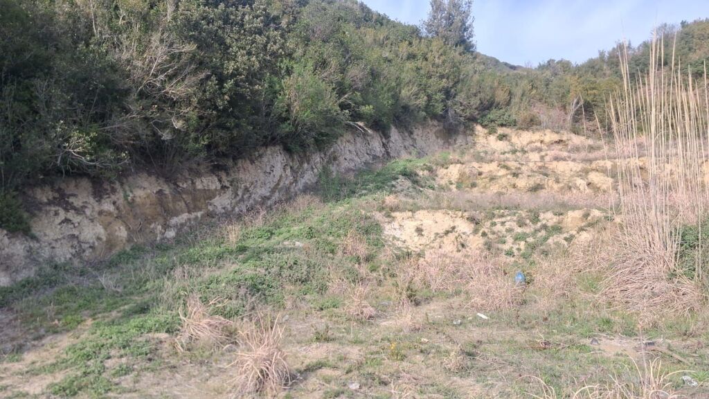 SHITET TOKË NË GJIRIN E LALZIT