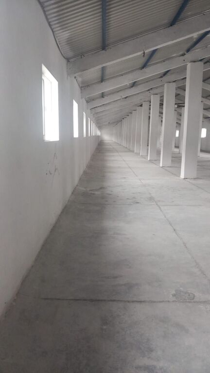 Magazine Okazion Me Pak Se 1 euro/m2