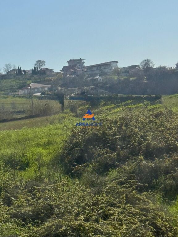 SHITET TOKE 10000M2 "PRANE AUTOSTRADES TIRANE DURRES ,RRUGA MAMINAS SUKTH" 1.200.000 EURO