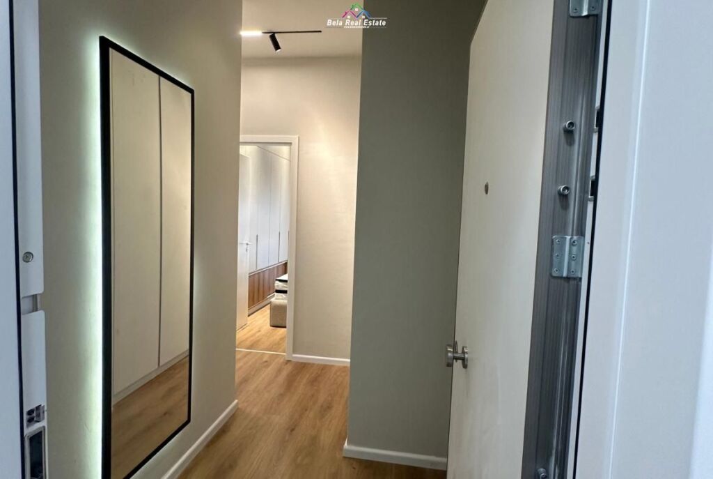 Appartamento In Affitto 1+1 A Ali Dem ( ID B2101573) Tirana