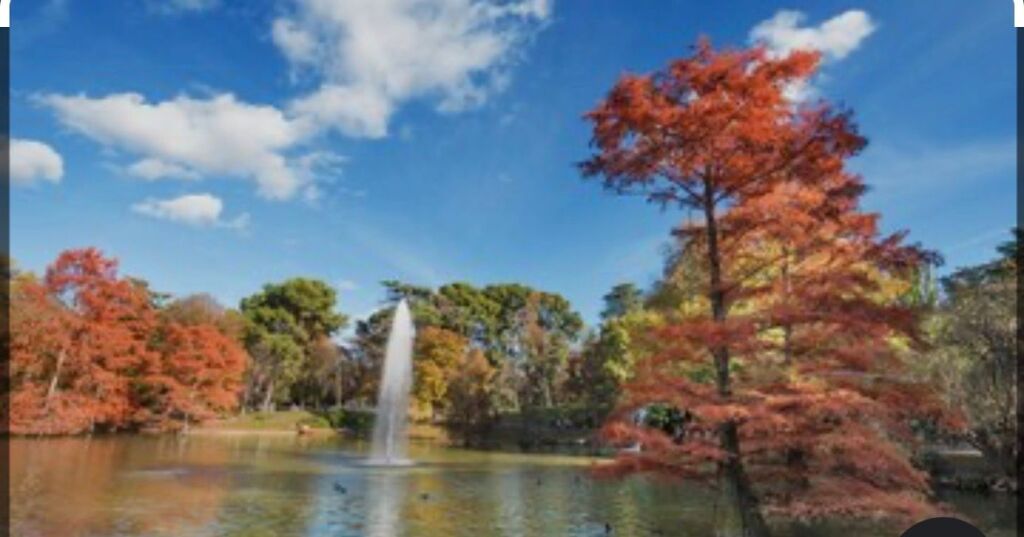 Liqeni Rruga eduart mano 2+1+2