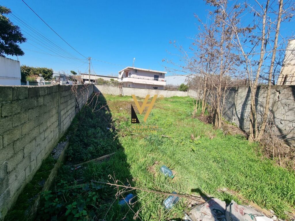 SHITET TOKE 600 M2 NE KASHAR 150.000 EURO
