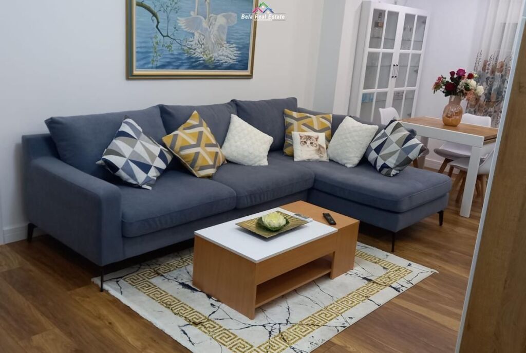 Appartamento in Affitto 1+1 a Bllok (ID B210480) Tirana