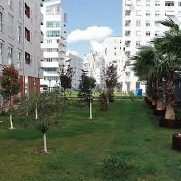 For rent 1+1 at Ndre Mjeda