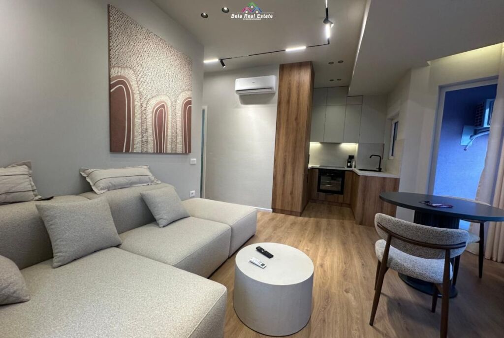 Appartamento In Affitto 1+1 A Ali Dem ( ID B2101573) Tirana