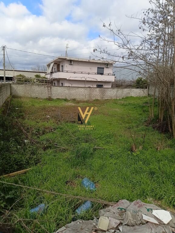 SHITET TOKE 600 M2 NE KASHAR 150.000 EURO