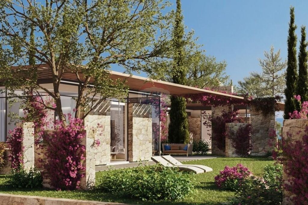 VILE ME PISHINE PER SHITJE , NE DHERMI